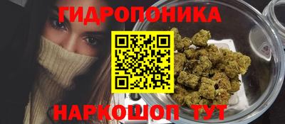 СК Сланцы