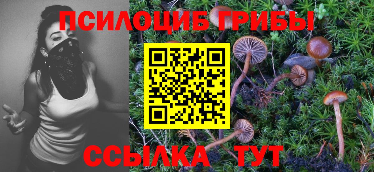 Орск  Галлюциногенные грибы GOLDEN TEACHER  Вход с VPN 